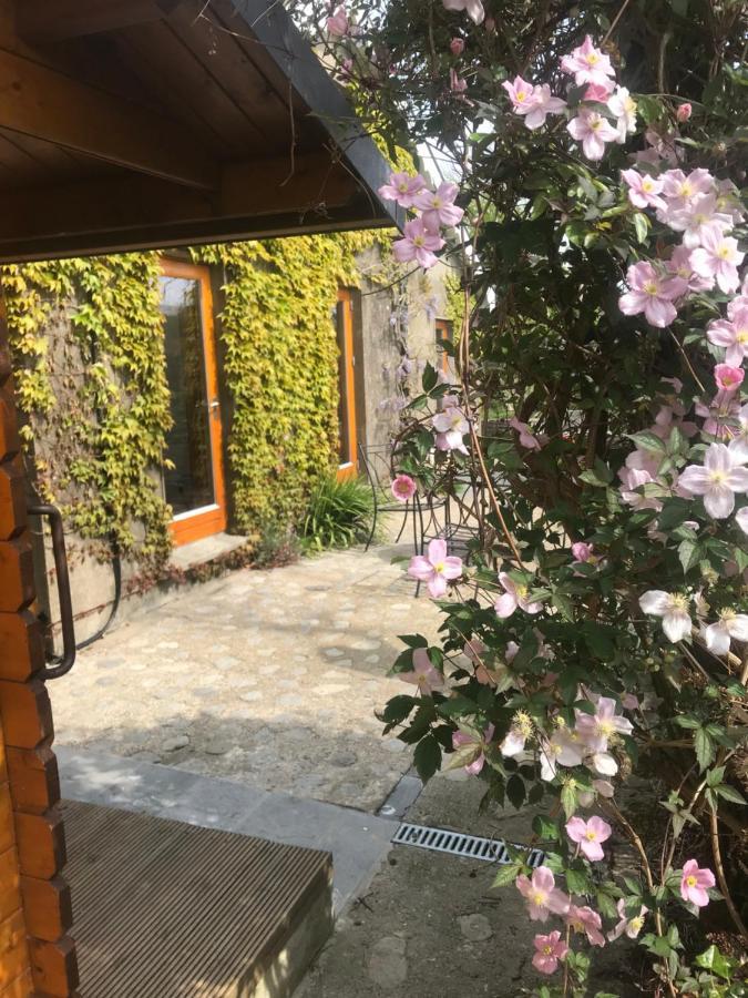 Seaside Cottage Duncannon Buitenkant foto